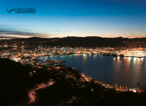LWG186 - Wellington, Night View - Large Postcard