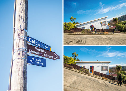 LDN197 - Baldwin St, Dunedin Multi - Large Postcard - Postcards NZ Ltd