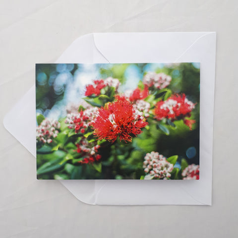 Pohutukawa Greeting Card