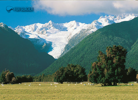 LWE168 - Westland - Large Postcard - Postcards NZ Ltd