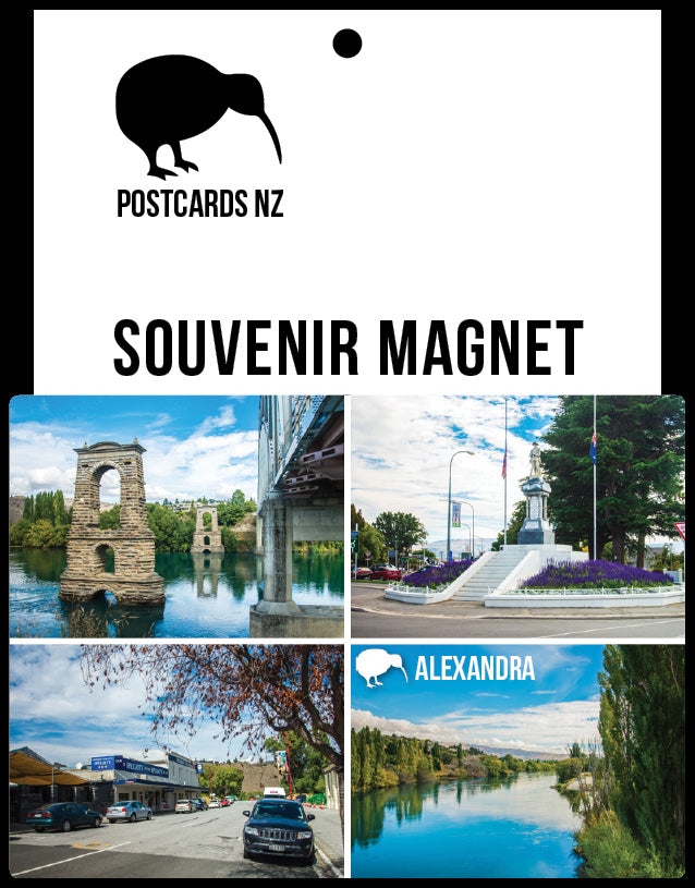 MOT284 - Alexandra Multi - Magnet