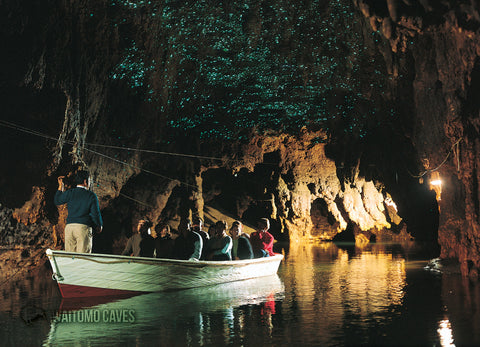 LWC156 - Glow-Worm Grotto, Waitomo Caves - Large Postcard - Postcards NZ Ltd