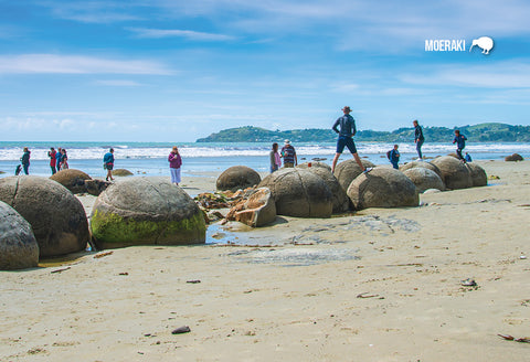 SOT772 - Moeraki Boulders - Small Postcard - Postcards NZ Ltd