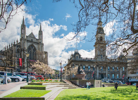 LDN207 - Octagon, Dunedin - Large Postcard - Postcards NZ Ltd