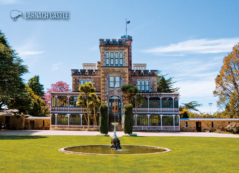 LDN198 - Botanic Gardens, Dunedin - Large Postcard