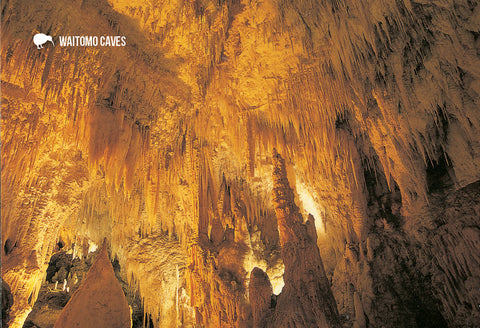 SWC959 - Waitomo Caves Hotel - Small Postcard