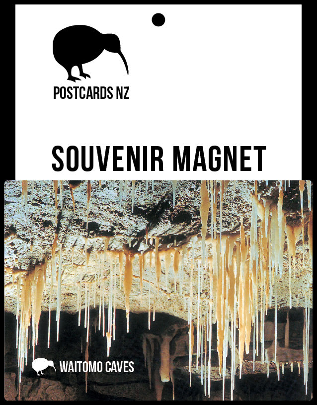 MWC240 - Limestone Straws - Magnet