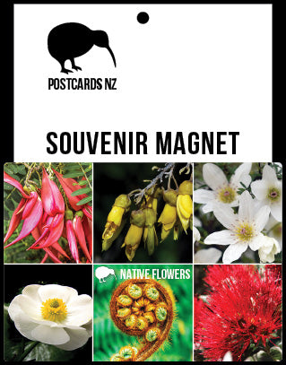 MGI112 - Native Flowers - Magnet