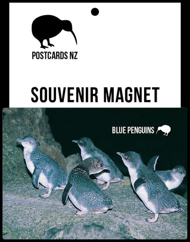 MGI094 - Kororā/Blue Penguins - Magnet - Postcards NZ Ltd