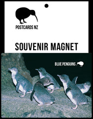 MGI094 - Kororā/Blue Penguins - Magnet - Postcards NZ Ltd