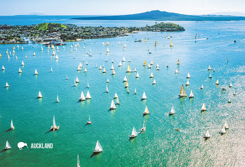 SAU102 - Westhaven Marina, Auckland - Small Postcard