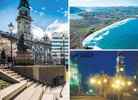 LDN200 - Dunedin Multi - Large Postcard - Postcards NZ Ltd