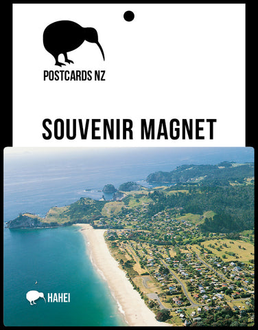MNS170 - Nelson City - Magnet