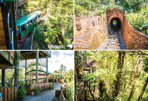 SRO220 - Skyline Gondolas Rotorua - Small Postcard