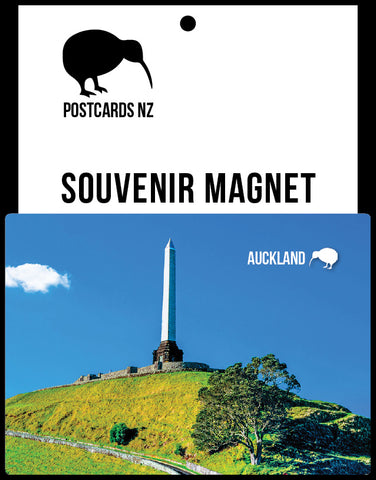 SAU136 - Auckland City At Night - Small Postcard