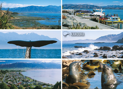 LCA048 - Kaikoura 6 View Multi - Large Postcard - Postcards NZ Ltd