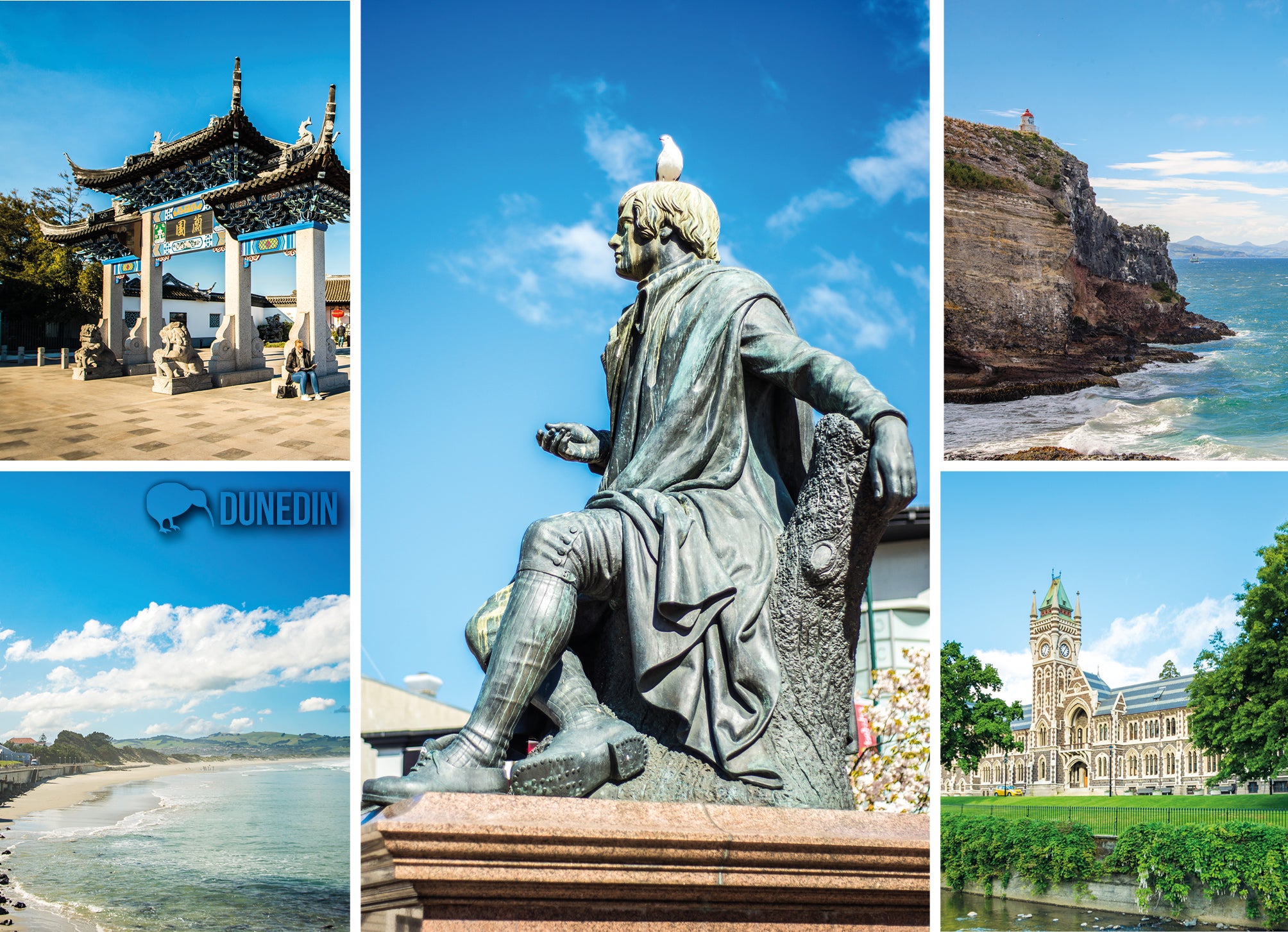 LDN052 - Dunedin Multi - Large Postcard