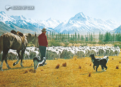 SMC1132 - Aoraki Mt Cook from Hooker Valley - Small Postcard