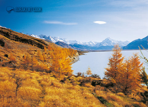 LMC098 - Mt Cook - Large Postcard - Postcards NZ Ltd