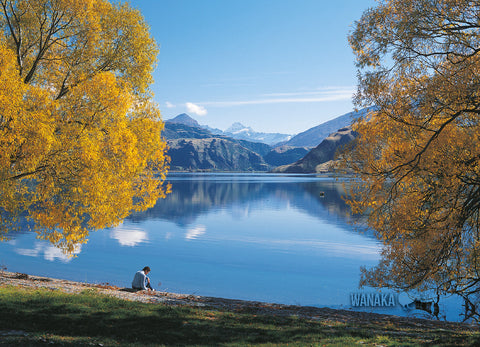 LOT120 - Glendhu Bay, Wanaka - Large Postcard - Postcards NZ Ltd