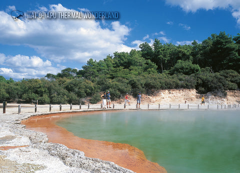 LRO141 - Wai-O-Tapu - Large Postcard - Postcards NZ Ltd