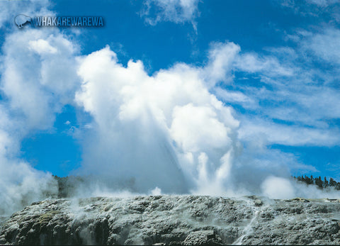 LRO145 - Whaka Geyser - Large Postcard - Postcards NZ Ltd