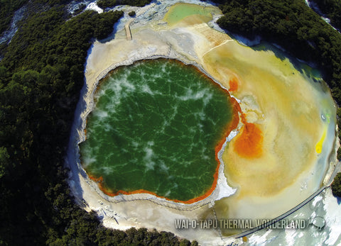 SRO241 - Rotorua - Geyser - Small Postcard