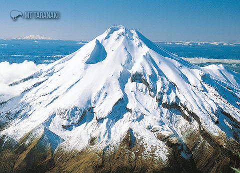 STA922 - Mt Taranaki & Cattle - Small Postcard