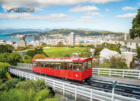 LWG186 - Wellington, Night View - Large Postcard