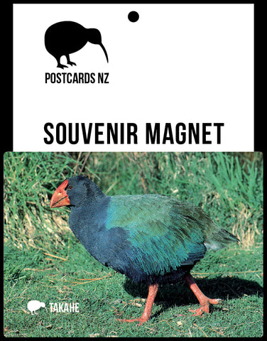 PGI131 - Native Birds - Panoramic Magnet