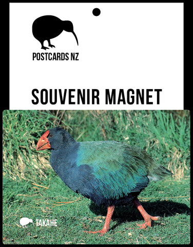 SGI508 - Fiordland Crested Penguin - Small Postcard