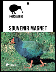 MFI154 - Takahe - Magnet - Postcards NZ Ltd