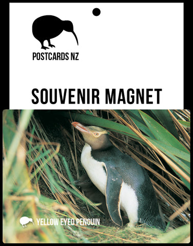 SGI532 - Yellow Eyed Penguin - Small Postcard