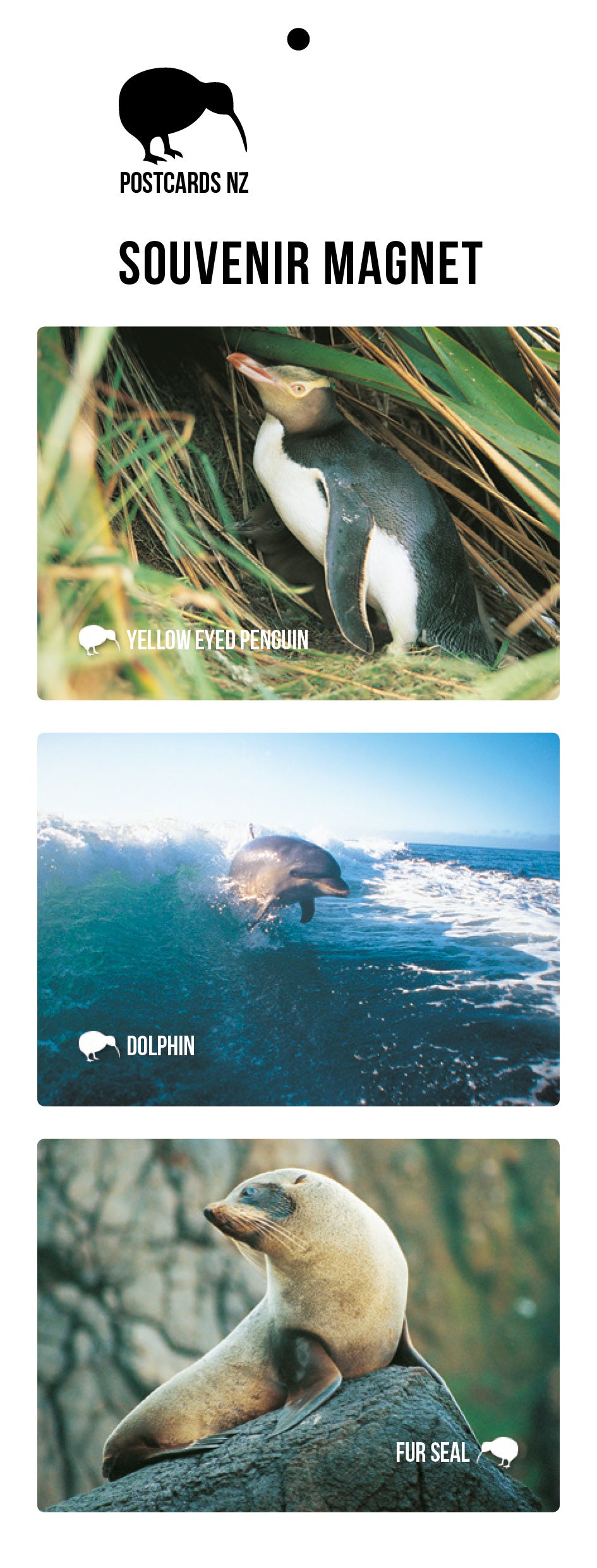 MGI5907 - Wildlife Magnet Set
