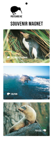 LCA048 - Kaikoura 6 View Multi - Large Postcard