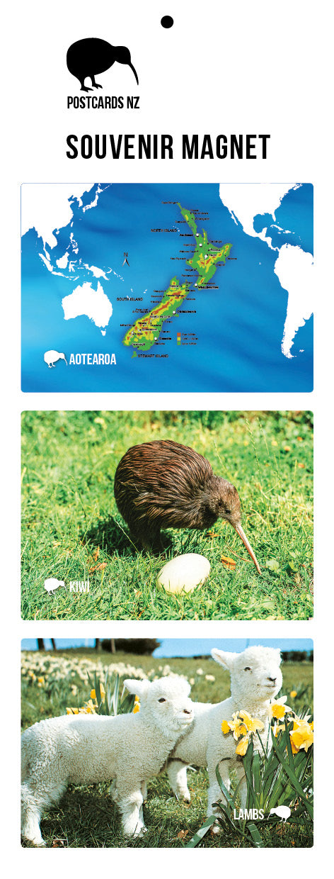 MGI5908 - NZ Icons Magnet Set