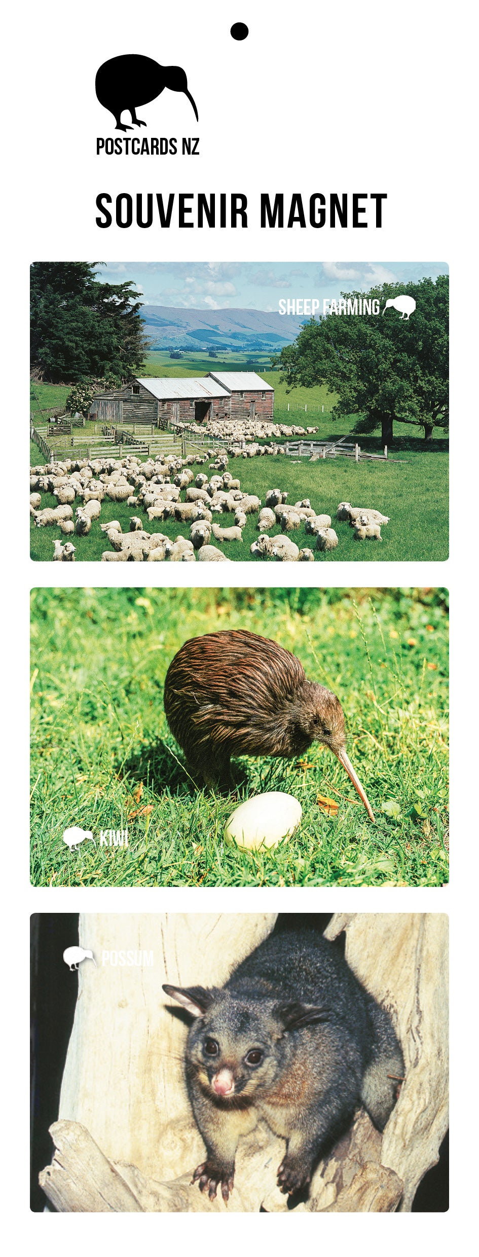 MGI5909 - Nature Magnet Set