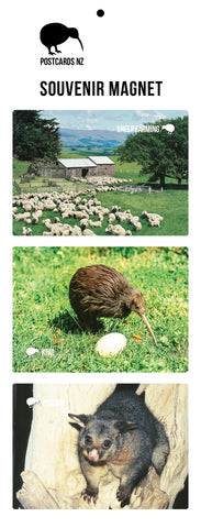 MGI5909 - Nature Magnet Set - Postcards NZ Ltd