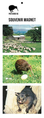 MGI5909 - Nature Magnet Set - Postcards NZ Ltd