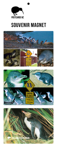 LOT123 - Oamaru - Blue Penguin Capital Of Nz - Large Postcard