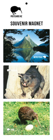 LFI067 - Milford Sound 8 View Multi - Large Postcard