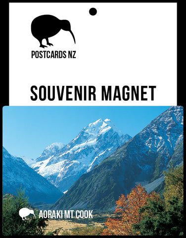 LMC095 - Mustering Sheep, Mt.Cook - Large Postcard
