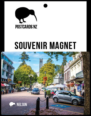 MNS170 - Nelson City - Magnet