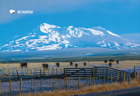 SMW21 - Mt Ruapehu From Desert Road - Small Postcard - Postcards NZ Ltd