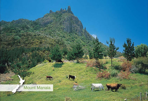 LBP035 - Mt Maunganui - Large Postcard