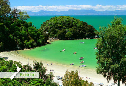 SNE720 - Kaiteriteri Beach - Small Postcard - Postcards NZ Ltd