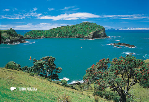 SNO699 - Tutukaka Harbour, Northland - Small Postcard - Postcards NZ Ltd