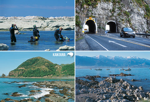 SCA639 - Kaikoura Multi - Small Postcard - Postcards NZ Ltd