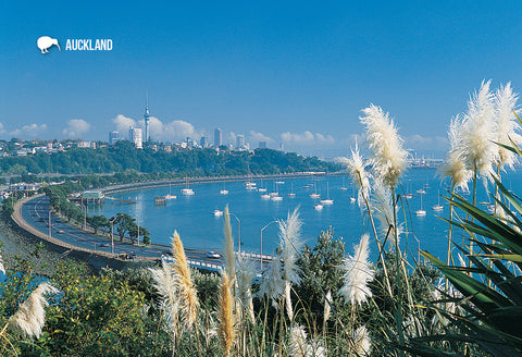 SAU141 - Auckland City & Waterfront Aerial - Small Postcard
