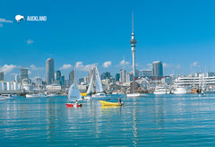 SAU109 - Auckland Waterfront And Sky Tower - Small Postcard - Postcards NZ Ltd
